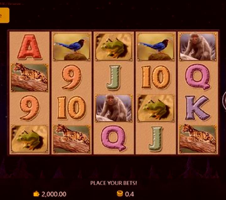 Formosa Bear slot