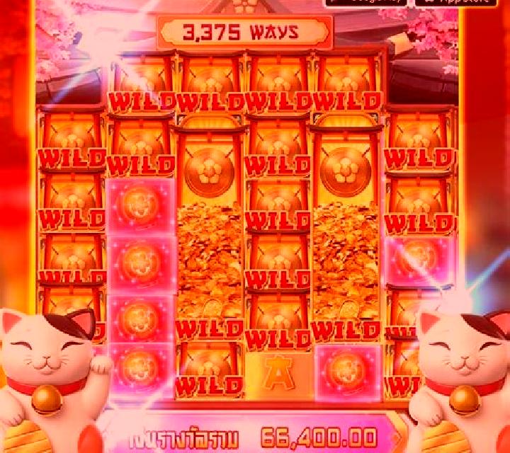 Fortuna 8 Cat slot game