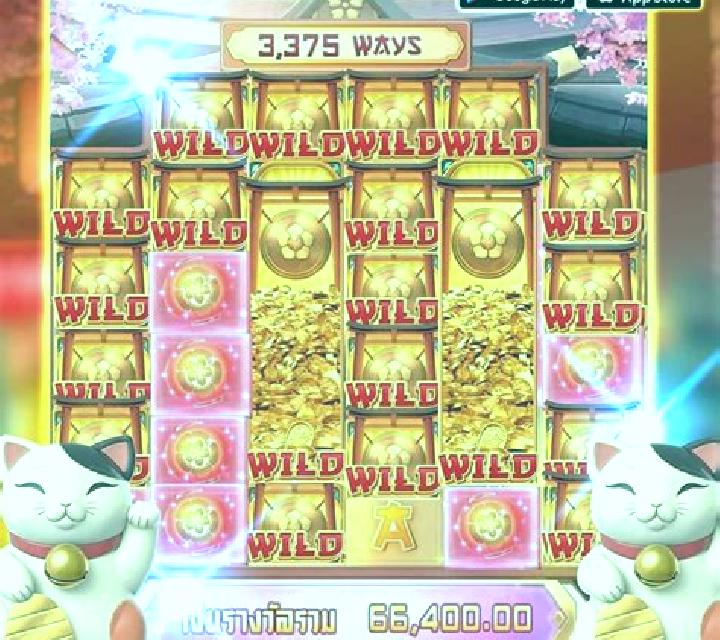 Fortuna 8 Cat slot