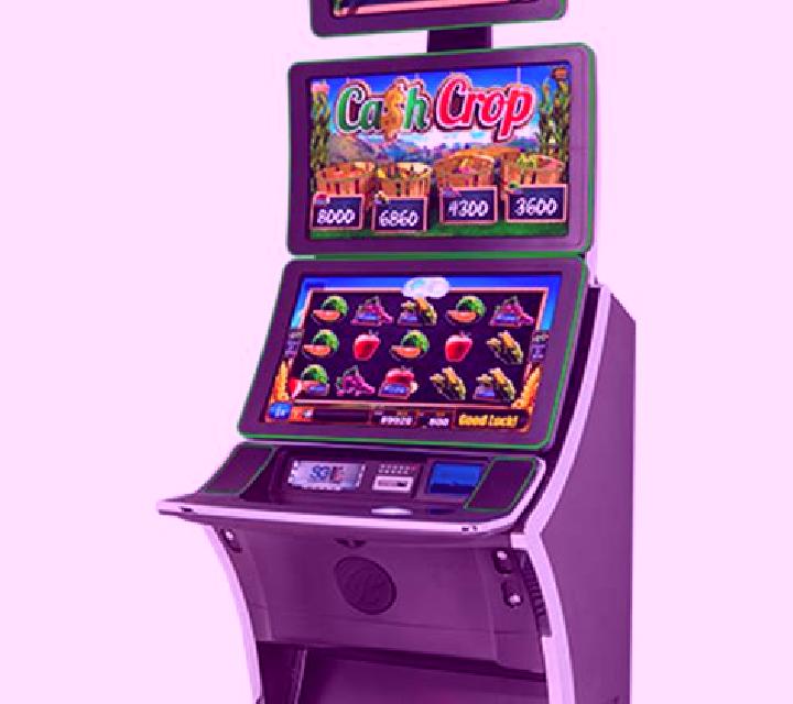 Fortune 27 slot machine