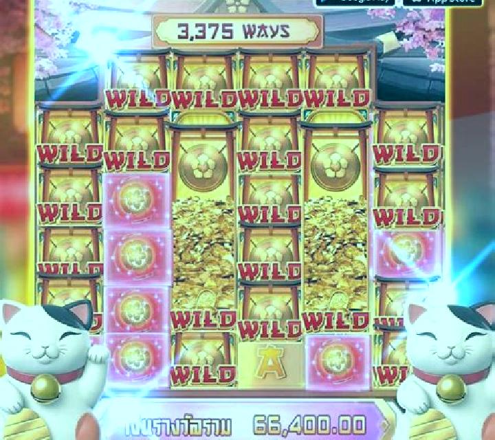 Fortune 8 Cat slot game