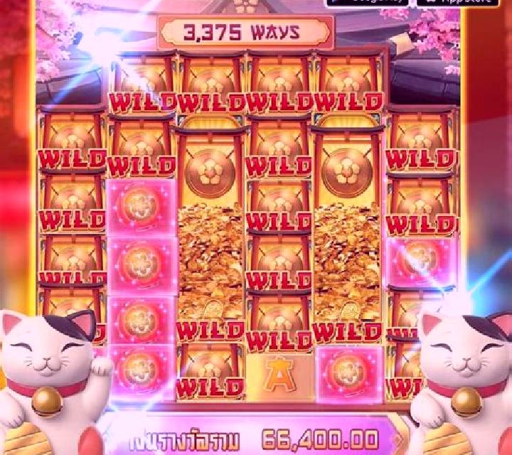 Fortune 8 Cat slot