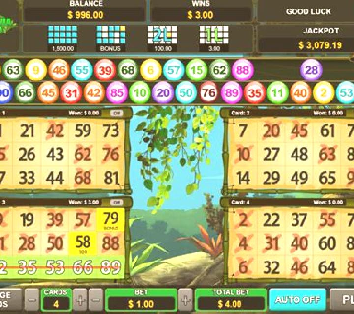 Fortune Bingo slot machine