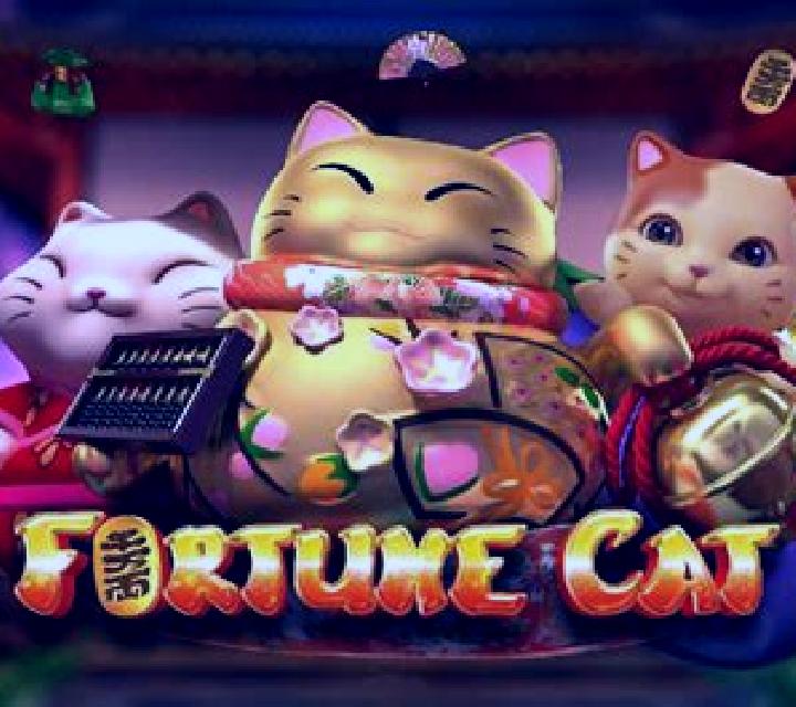 Fortune Cat (GamePLay) slot game