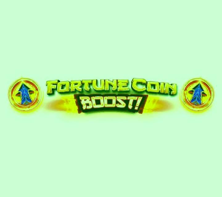 Fortune Coin Boost slot