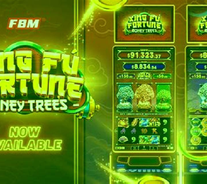 Fortune Fu slot game