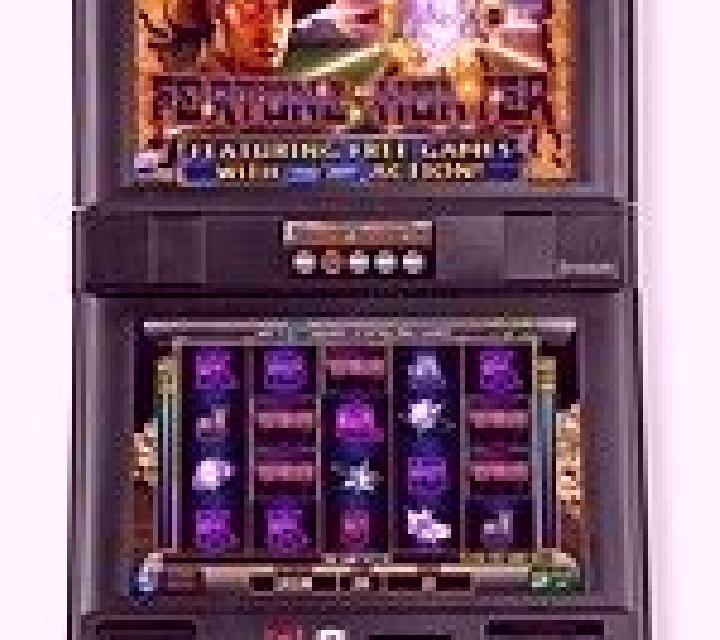 Fortune Hunter slot machine