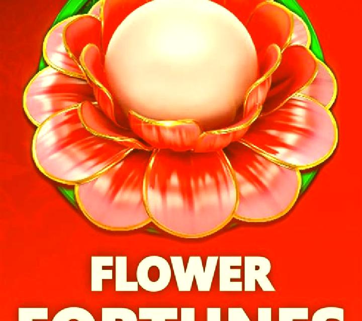Fortune Love slot game