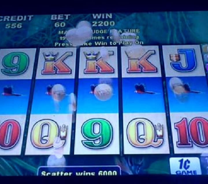 Fortune Macaw slot machine