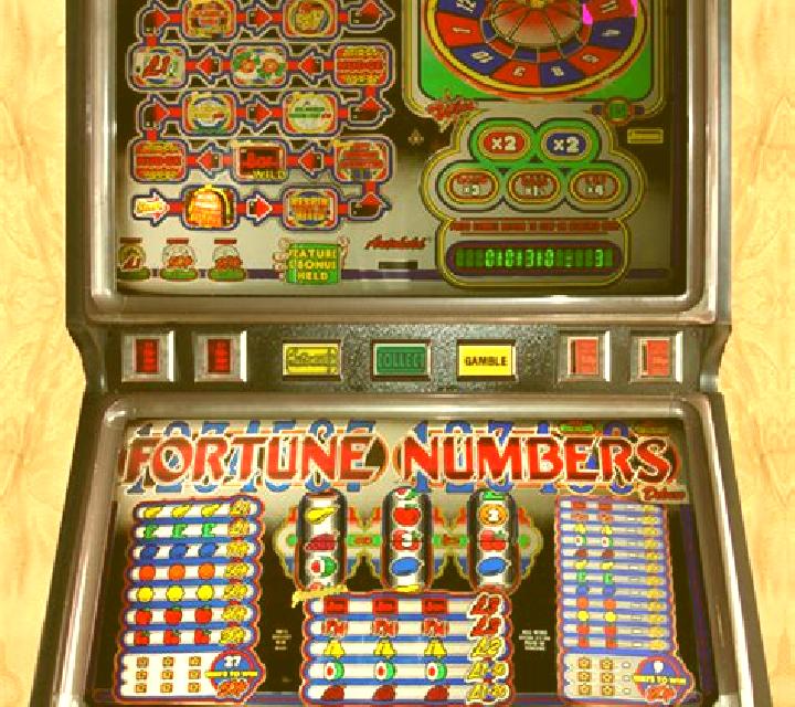 Fortune Numbers online slot