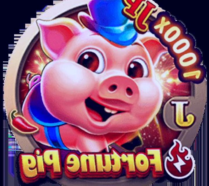 Fortune Pig (Jili Games) slot game