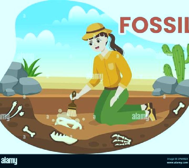 Fossil Digger online slot