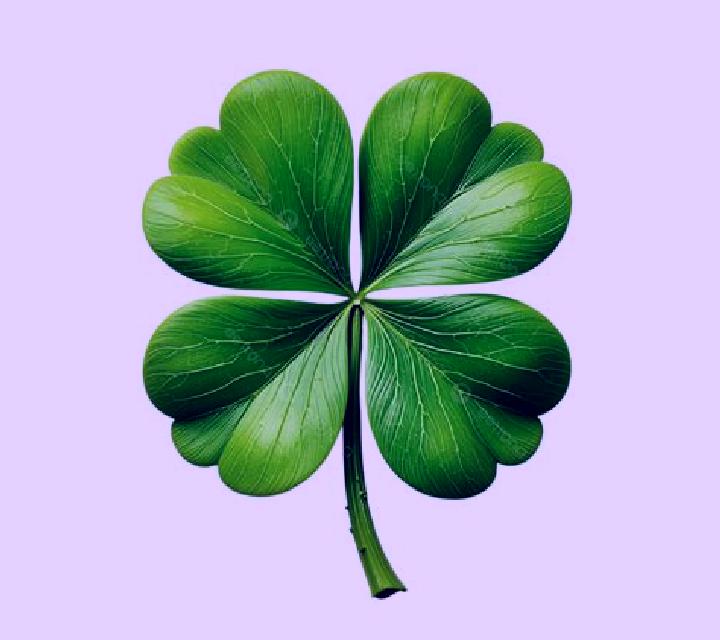 Four Leaf Fortune slot