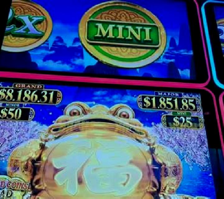 Frog House slot machine