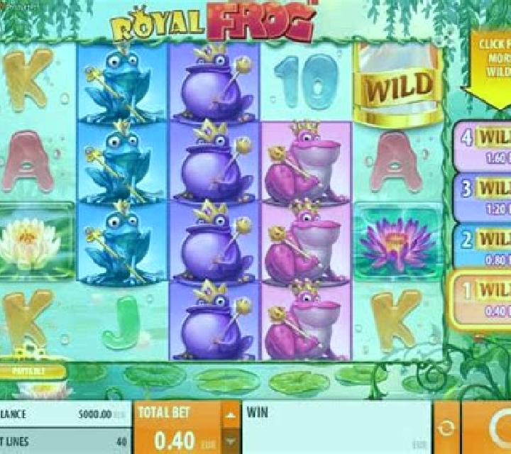 Frog slot game