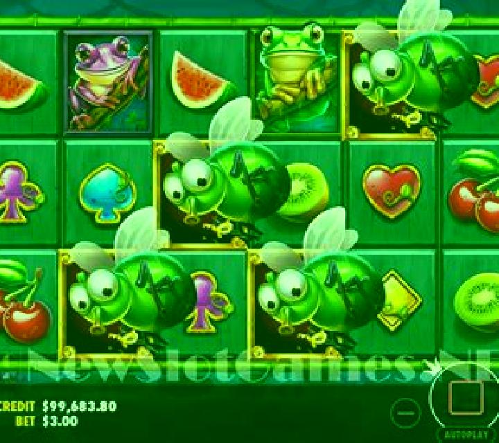 Frogs & Bugs slot game