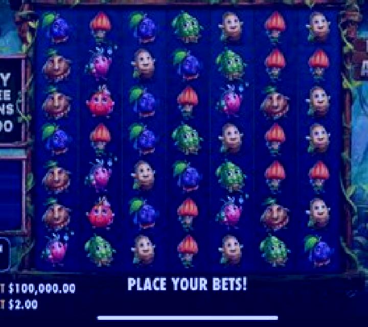 Fruits of the Amazon slot