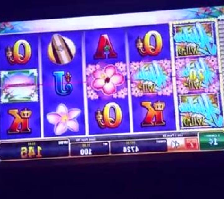 Gastro Delight slot machine