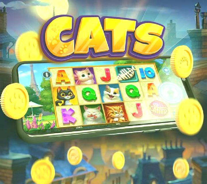 Giovanni s Cat slot game