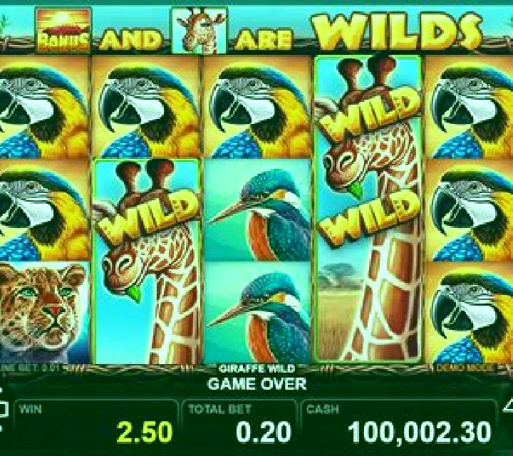 Giraffe Wild slot