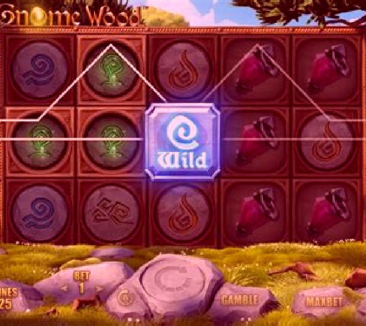 Gnome Wood slot game
