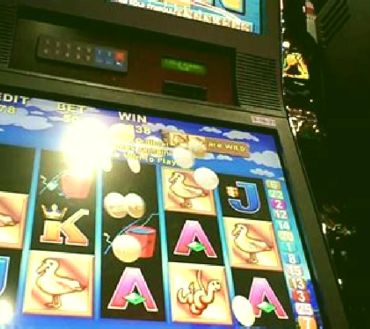 Go Fishing slot machine