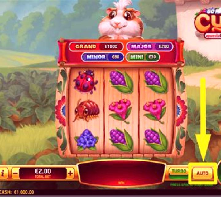 Go High Cuy Apuesta Total slot