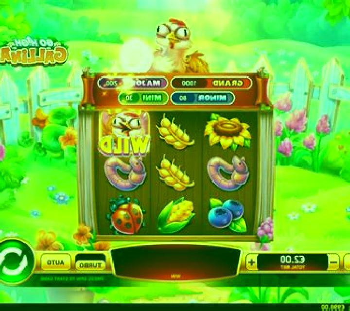 Go High Gallina slot game