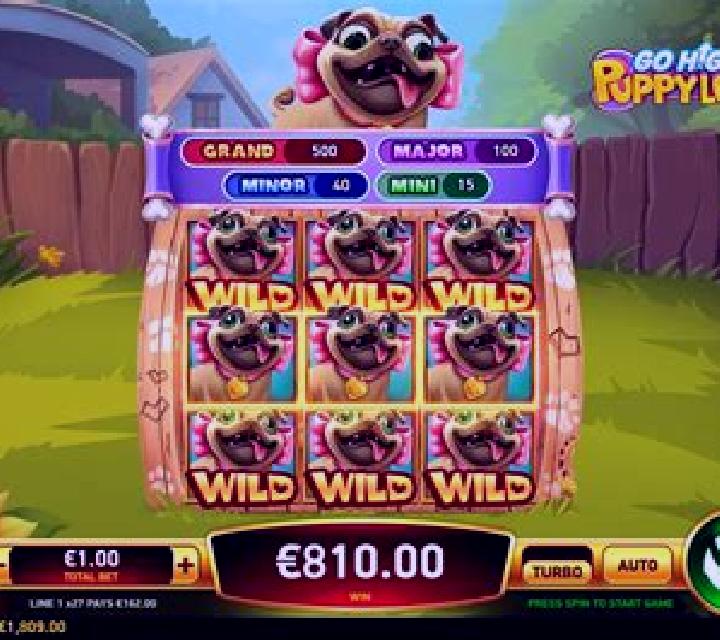 Go High Puppy Love slot game
