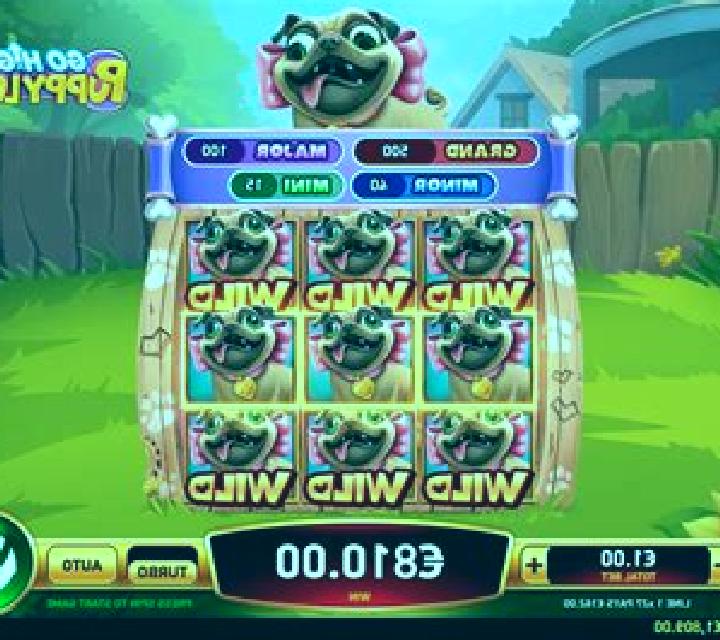 Go High Puppy Love slot