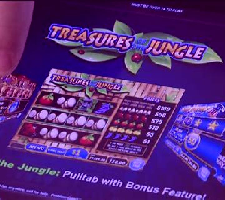 Go Wild on Safari Pull Tab slot
