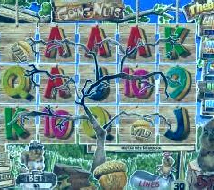 Going Nuts online slot