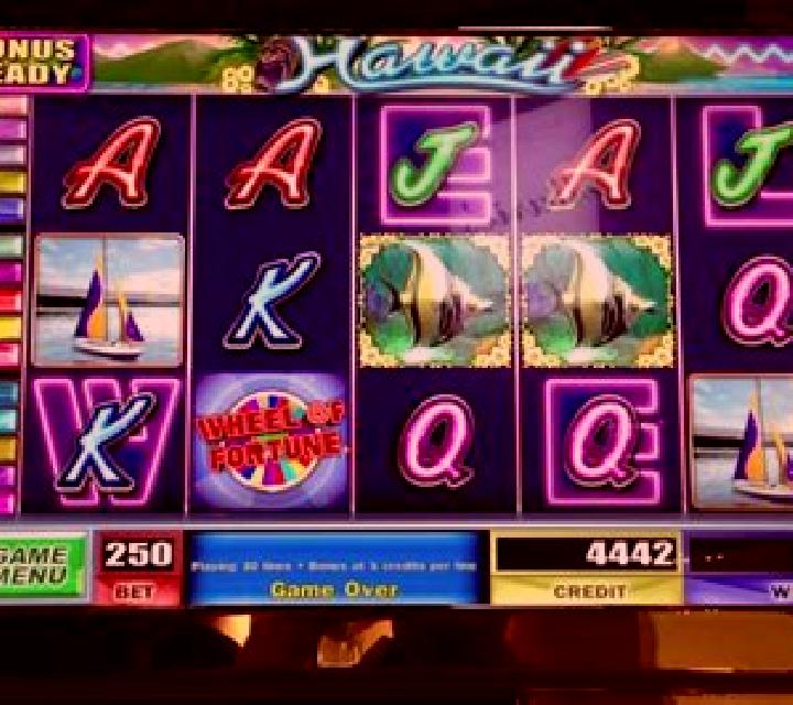 Going Wild in Hawaii slot machine