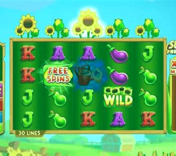 Golden Fields online slot