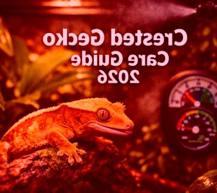 Golden Gecko online slot