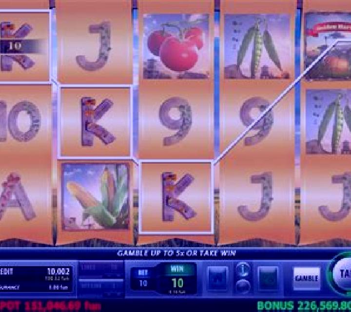 Golden Harvest (Champion Studio) slot
