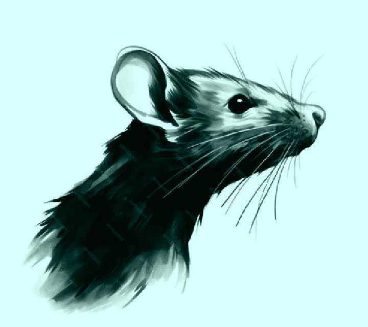 Golden Ink Rat online slot