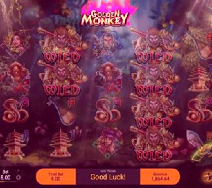 Golden Monkey (Spadegaming) slot