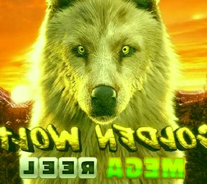 Golden Wolf Mega Reel slot game