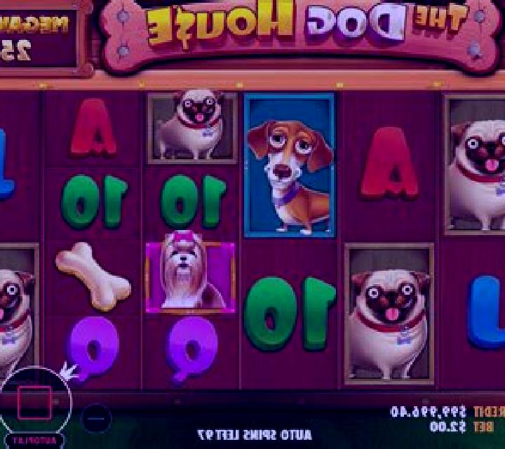 Gone to the Dogs slot game