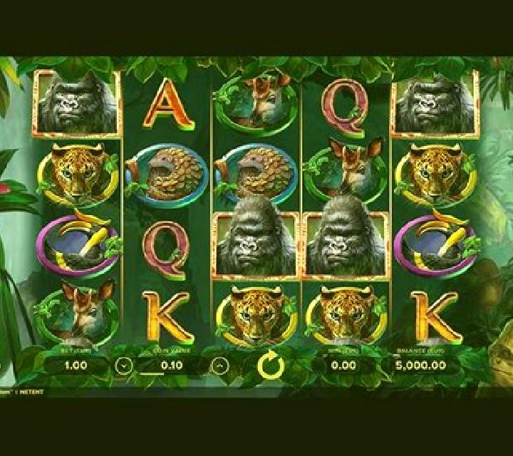 Gorilla Kingdom online slot