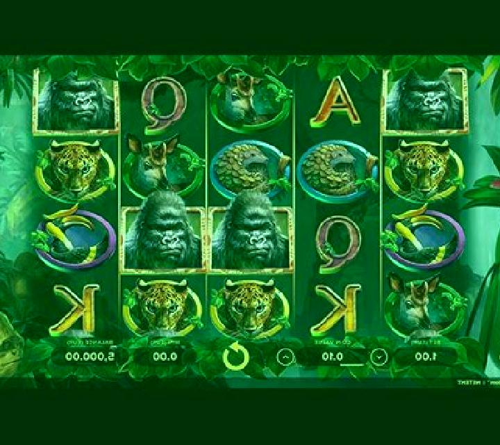 Gorilla Kingdom slot machine