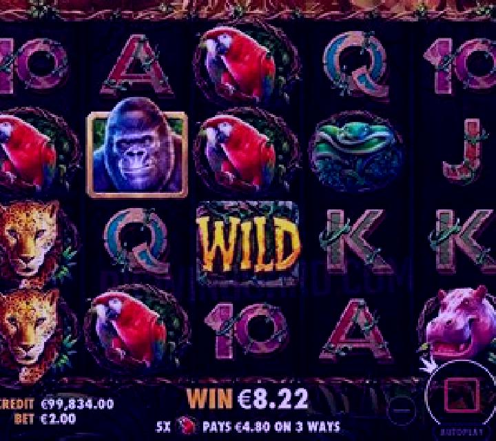 Gorilla Mayhem slot