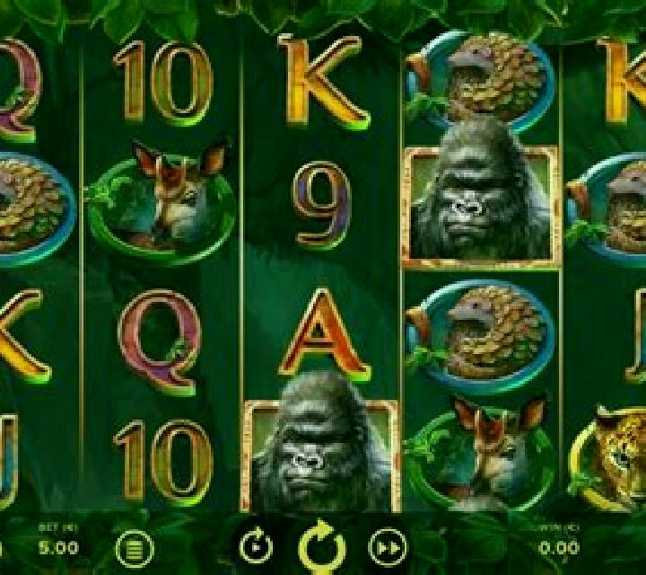 Gorilla Rush slot