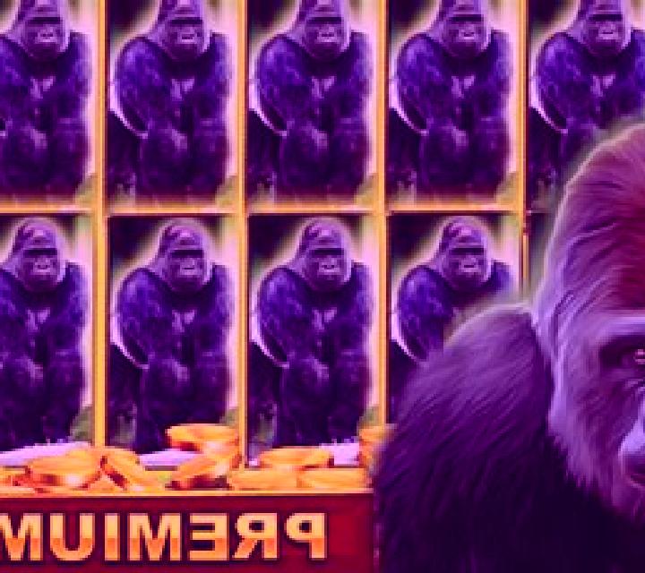 Gorilla slot game
