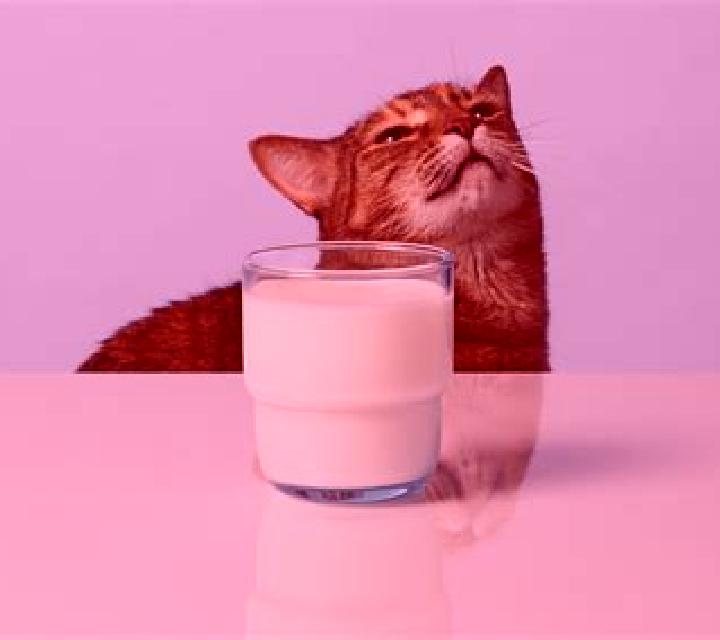 Got Milk online slot