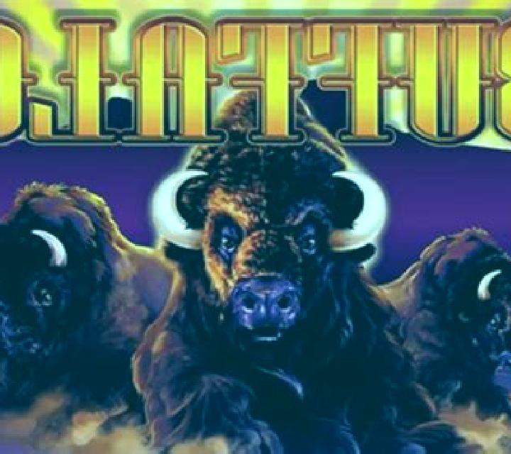 Great Buffalo slot game
