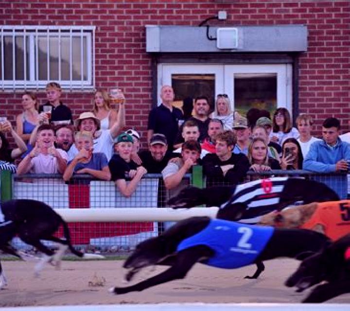 Greyhound Races slot game