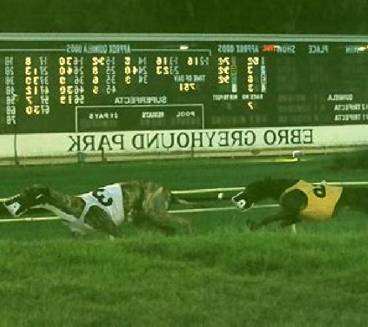 Greyhound Racing (Atlas-V) slot game