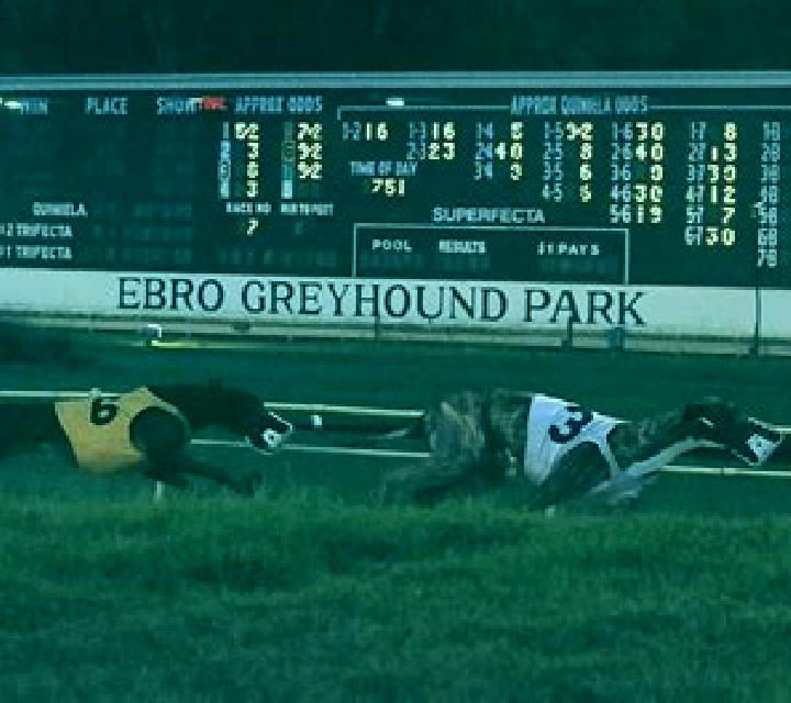 Greyhound Racing (Atlas-V) slot machine